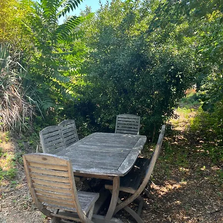 Les Glycines: Charming In Historic Building Near Center Digne-les-Bains